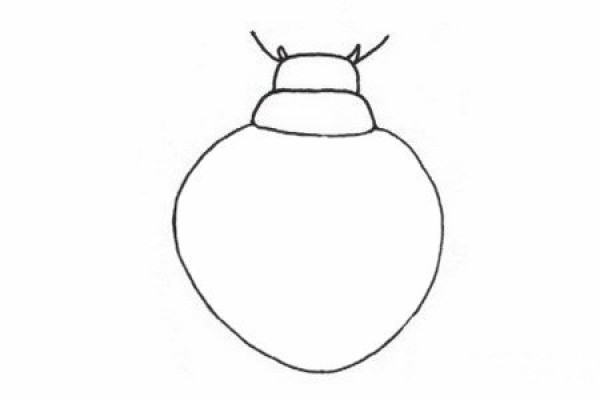 How to draw a simple beetle