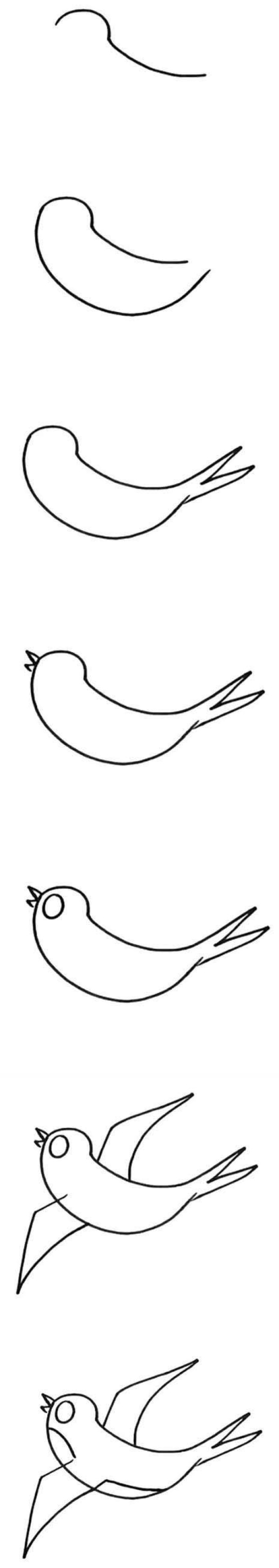 Simple strokes of little swallow