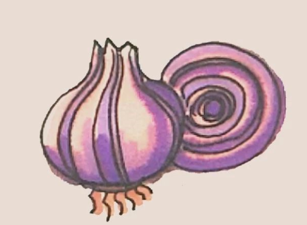 Simple drawing of onion