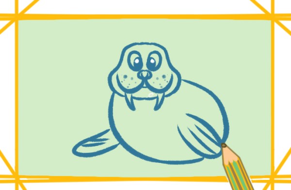 Huge walrus simple drawing