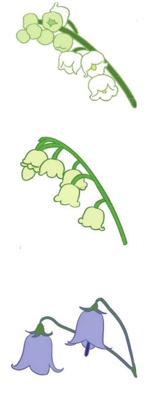 Simple drawing of colorful lily of the valley flowers