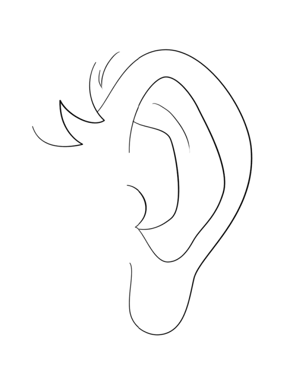 How to draw facial features and ears