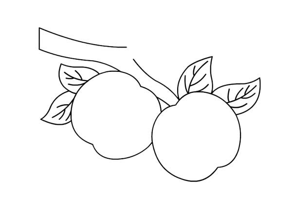 Simple drawing of peach on the branch