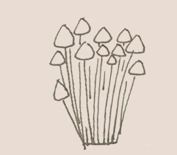 Simple drawing of Enoki mushrooms