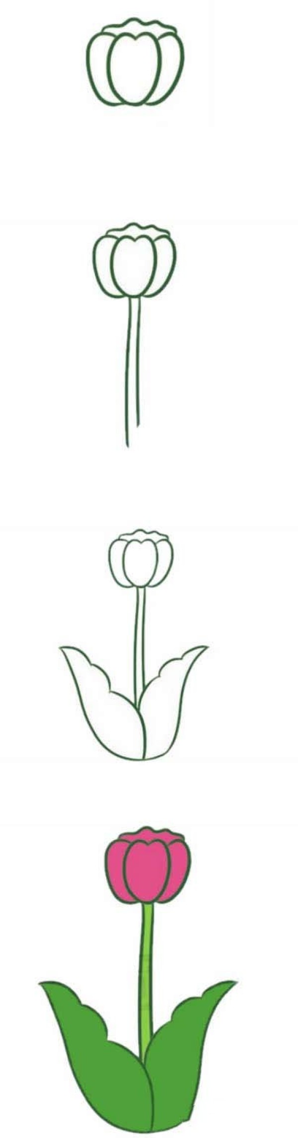 How to draw simple and beautiful tulips