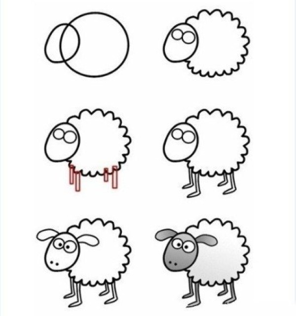 Draw a simple drawing of a little sheep step by step