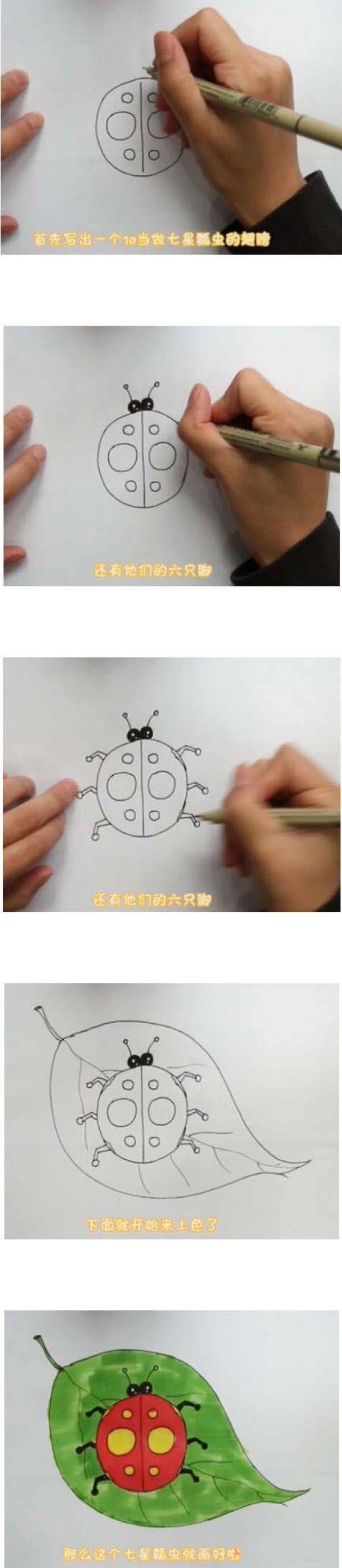 How to draw a seven-star ladybug