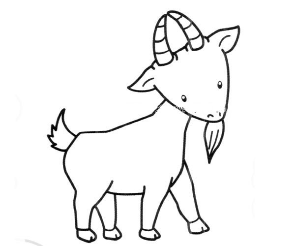 Cute little goat simple drawing picture