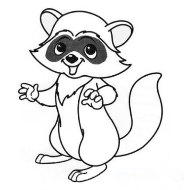 How to draw a beautiful little raccoon when coloring