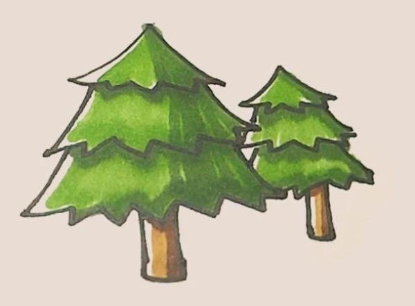 Simple drawing of pine tree