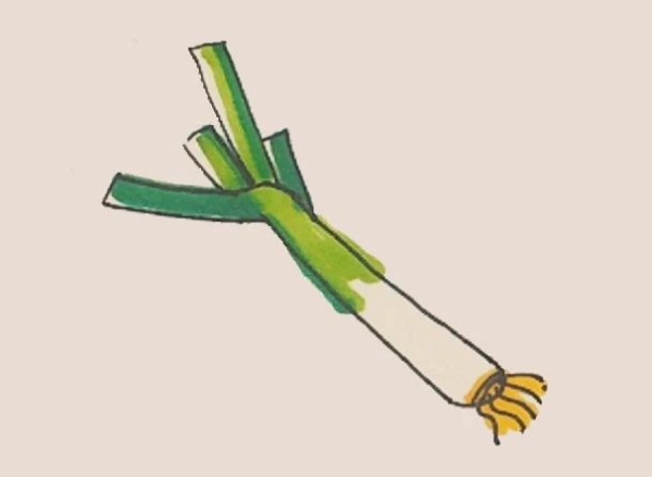 Simple drawing of green onions