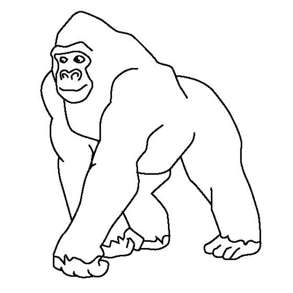 Animal simple drawing pictures Gorilla simple drawing