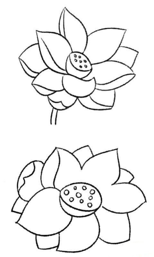 Beautiful lotus simple strokes