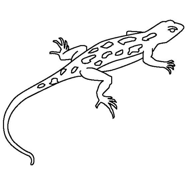 Pet lizard simple strokes