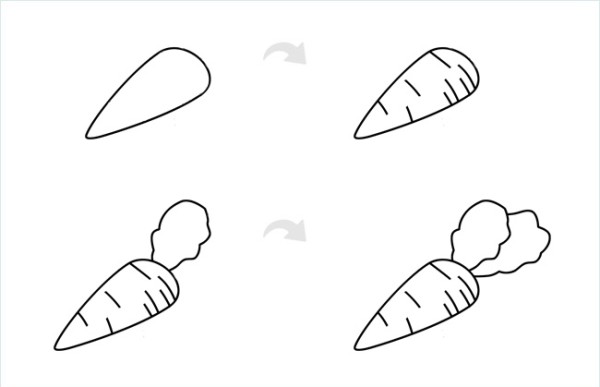 Carrot simple drawing steps and coloring tutorial