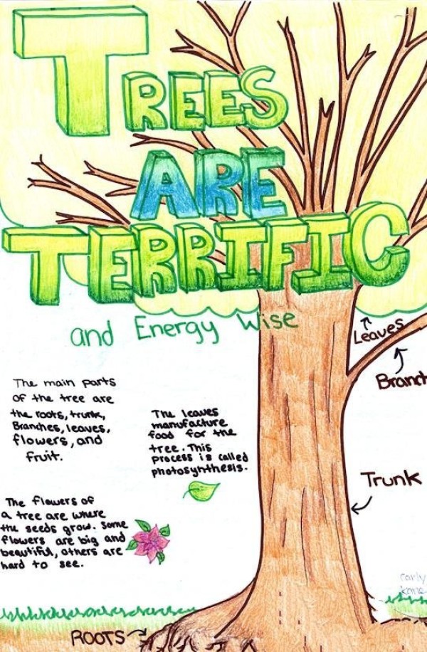 A collection of pictures of the most important big tree for foreign children to draw on Arbor Day