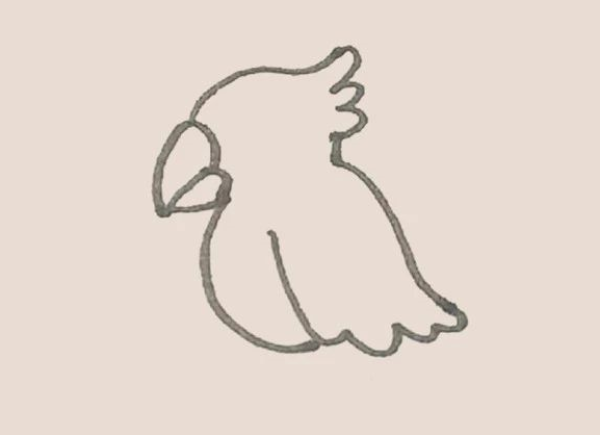 Simple drawing of parrot