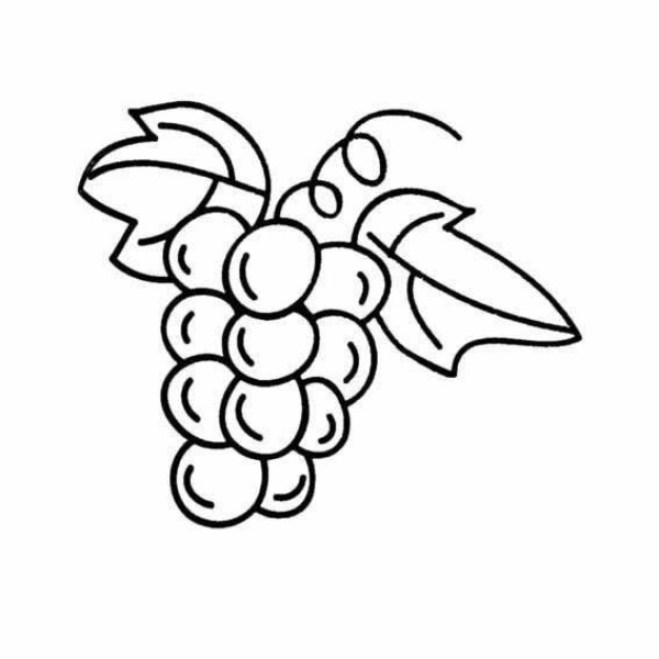 How to draw a bunch of grapes