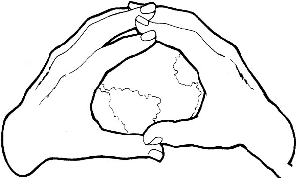 Earth in hands