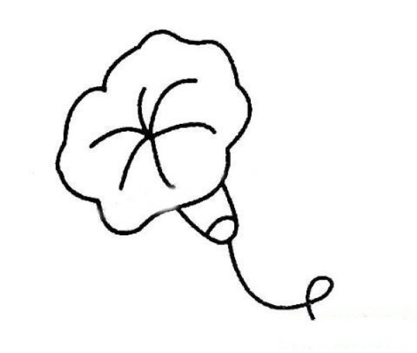 Simple drawing of morning glory