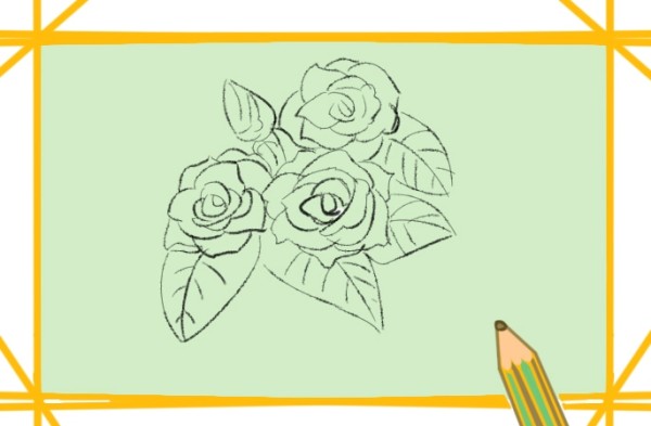 How to draw red rose flowers