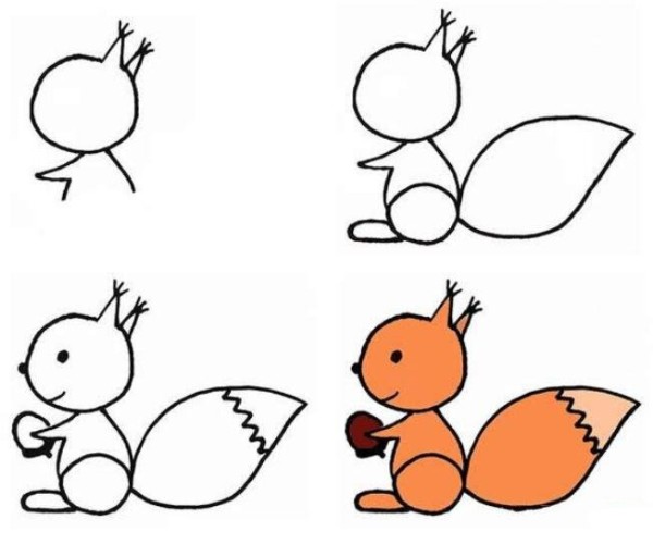 How to draw a simple and cute little squirrel