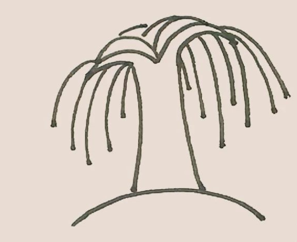 Simple drawing of willow tree