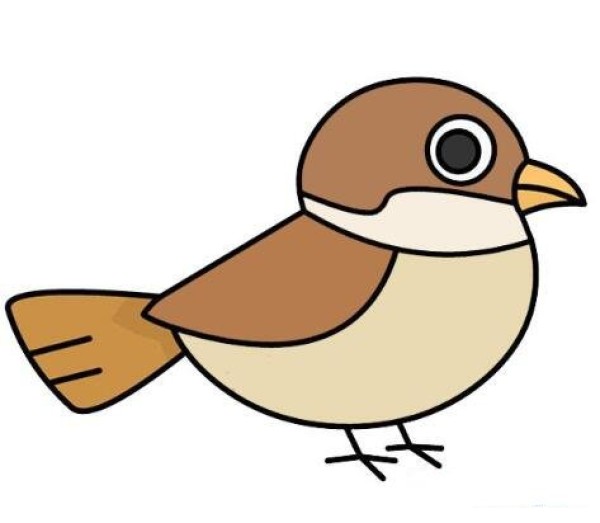 How to draw a beautiful little sparrow with color