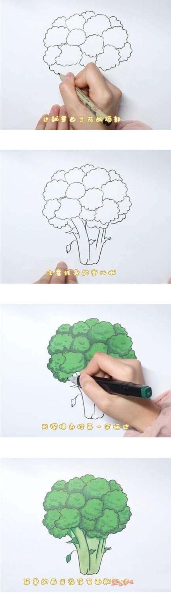 How to Draw Broccoli