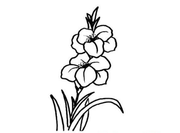 Beautiful simple drawing of two small flowers