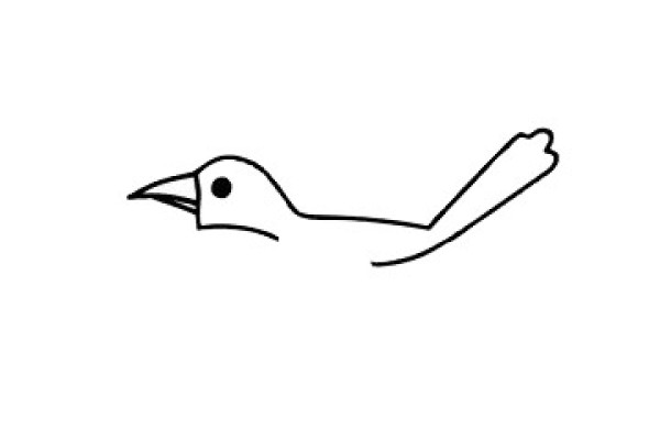 Very popular simple drawing of magpie