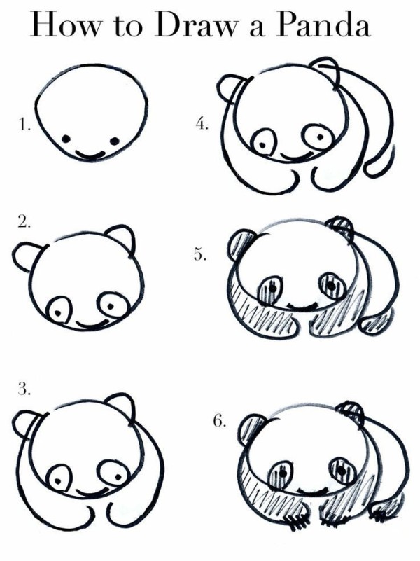 How to draw a panda