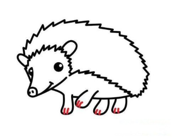 How to draw a cute little hedgehog