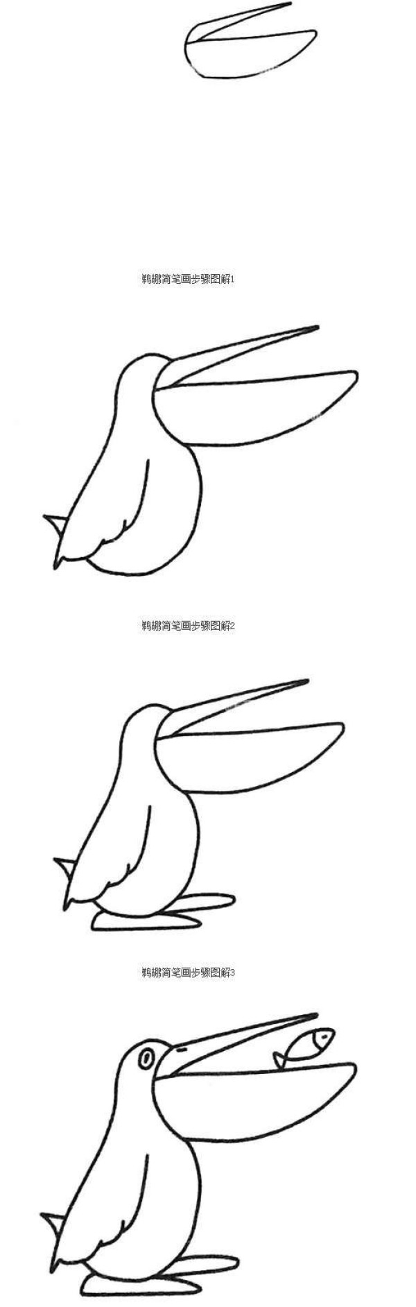 How to draw a cartoon pelican