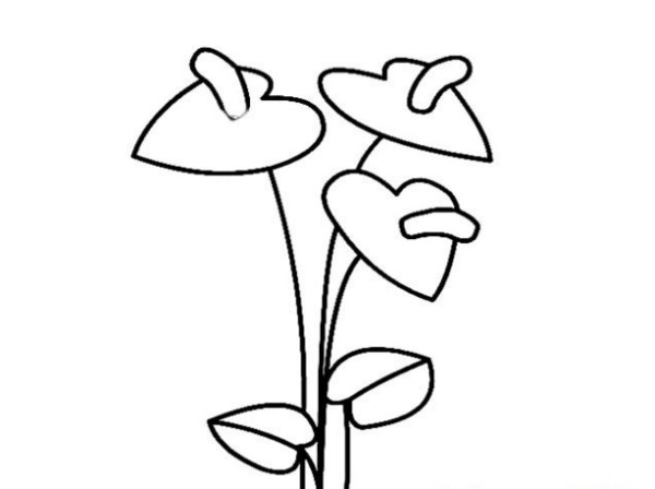 Beautiful simple drawing of two small flowers