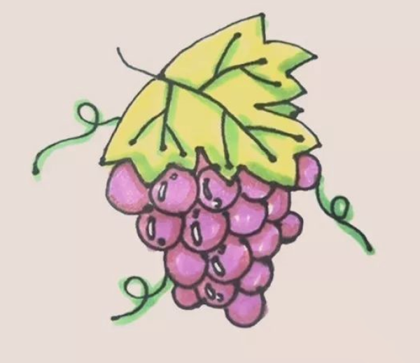 Grape simple strokes