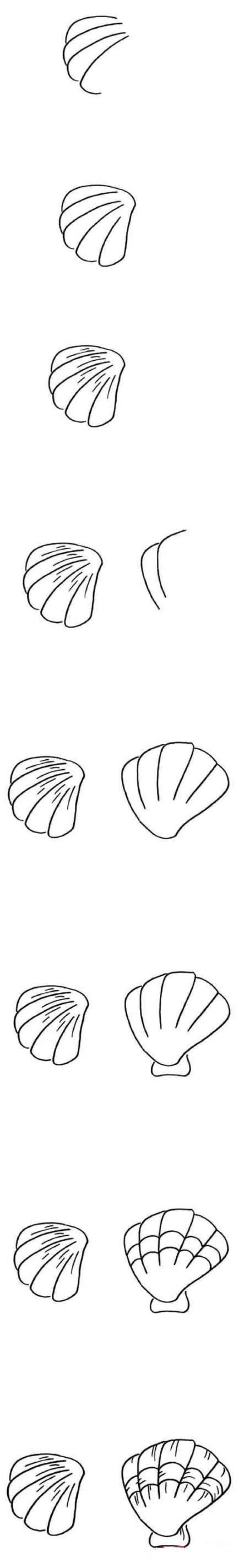 How to draw beautiful seashells and color them