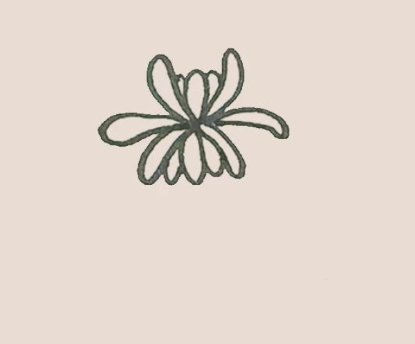 Simple drawing of chrysanthemum