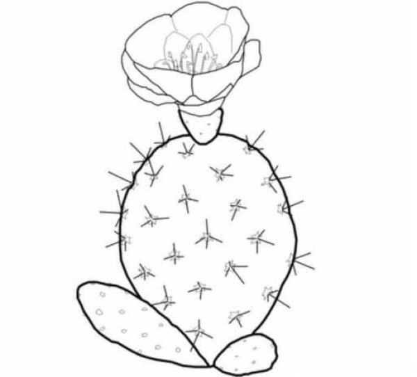 Simple and beautiful cartoon cactus drawing