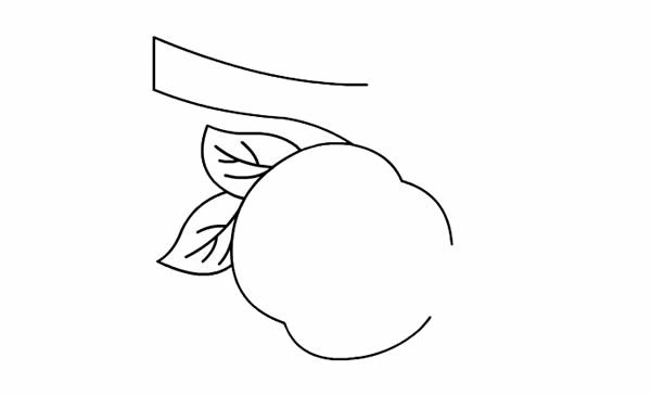 Simple drawing of peach on the branch