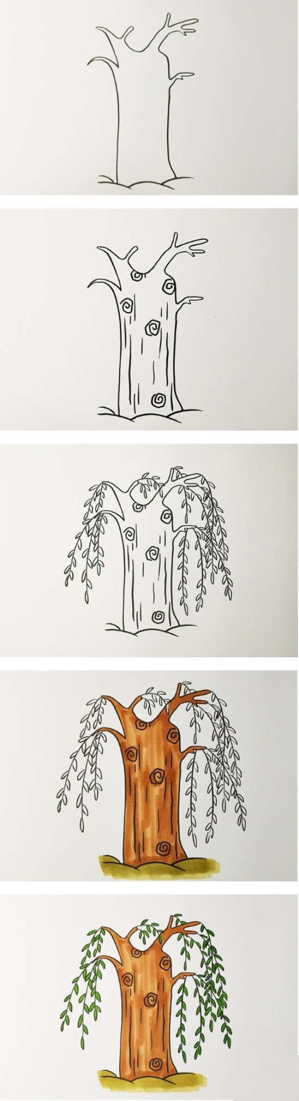 How to draw a willow tree