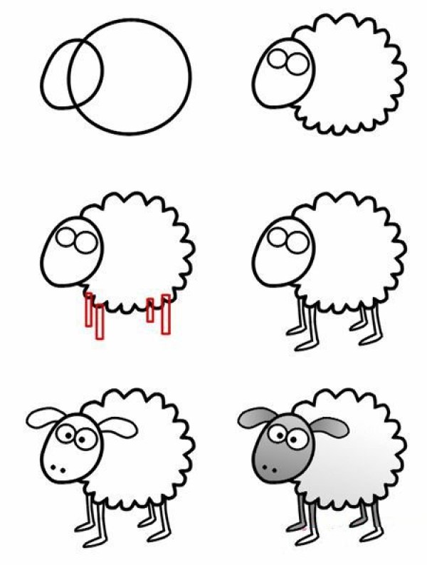 How to Draw a Cartoon Sheep