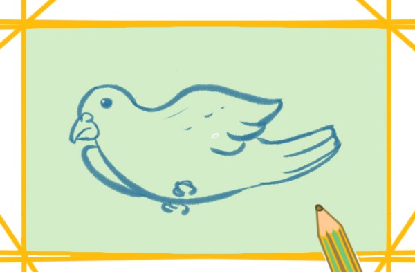 Teach you step by step how to draw a white pigeon in simple strokes