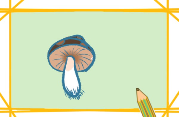 Simple drawing of delicious mushrooms