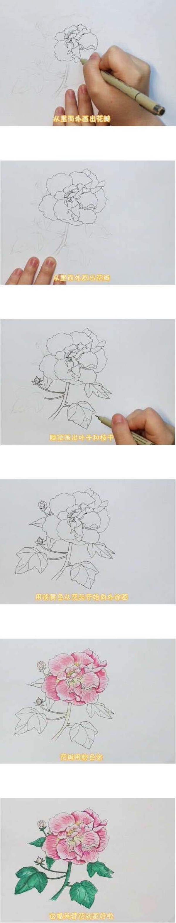 Simple drawing of hibiscus flower