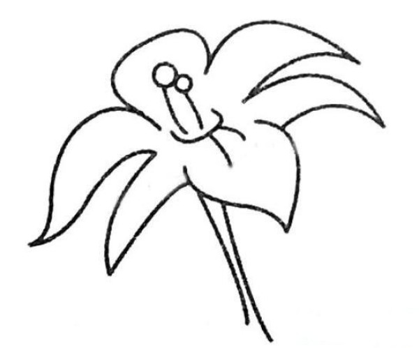 Hand drawn lily flower simple strokes