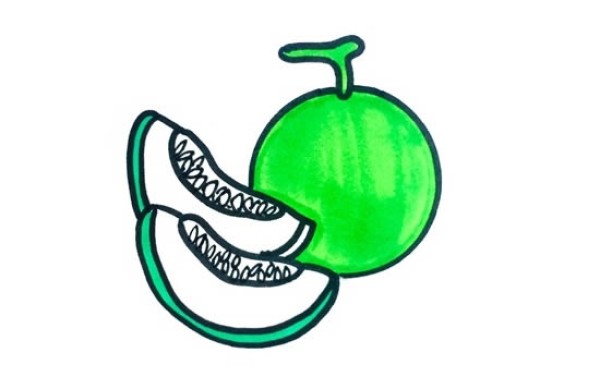 How to draw a green cantaloupe