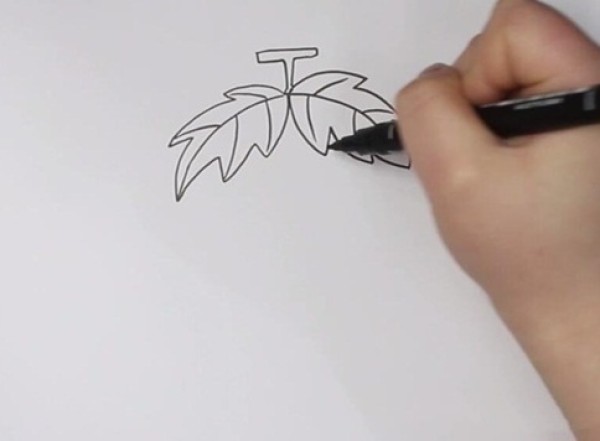 How to draw purple grapes