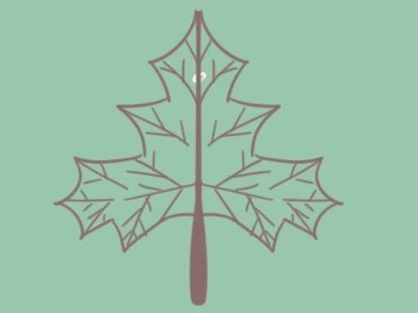 How to draw fiery red maple leaves