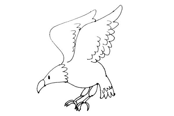 Children learn to draw an eagle